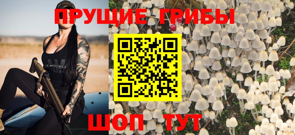 Нижневартовск  наркота  Вход с VPN  Галлюциногенные грибы Psilocybe 